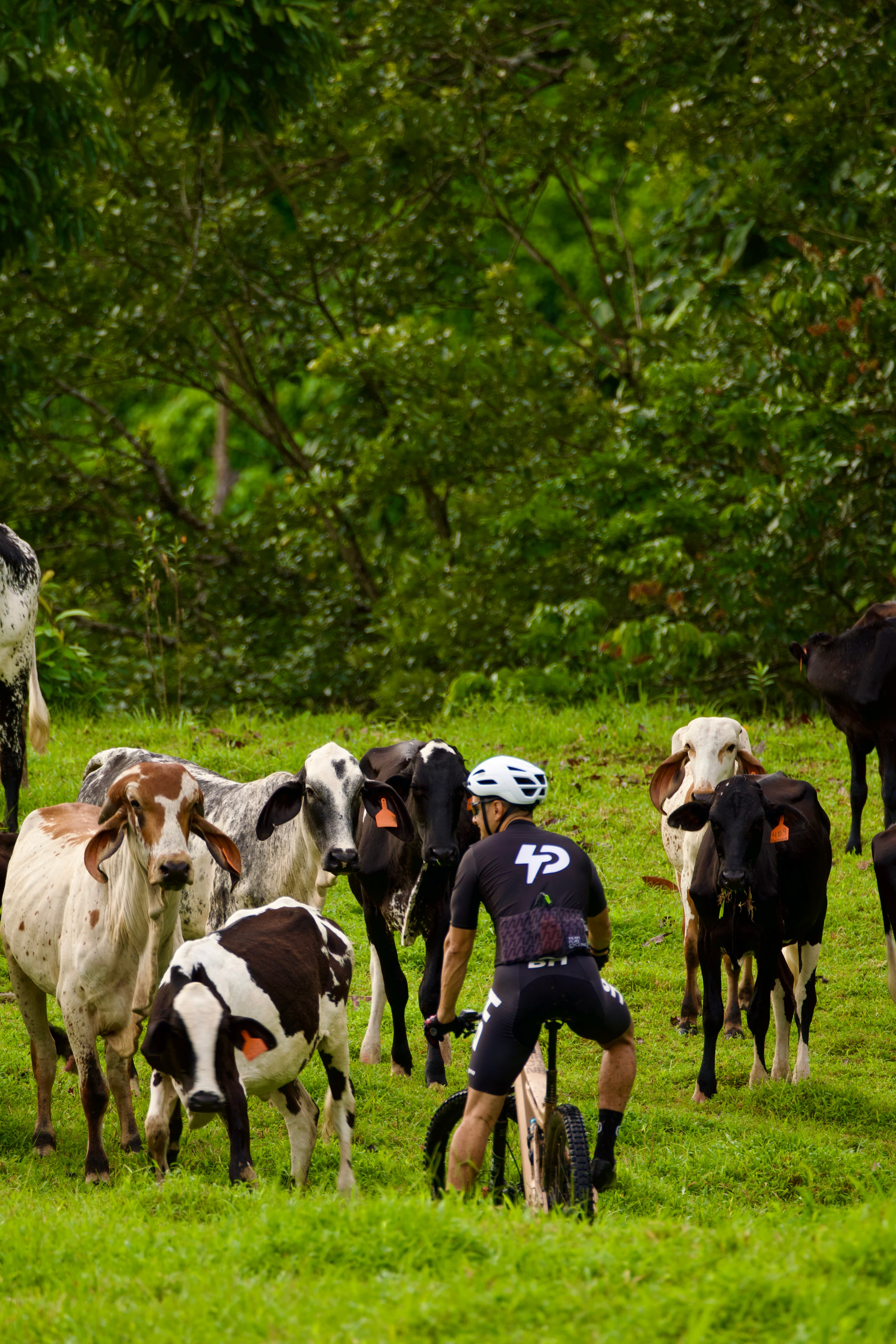 Tony Alvarado ciclismo en el campo
